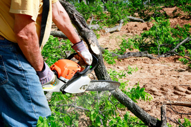 Best Firewood Processing and Delivery  in Kamiah, ID